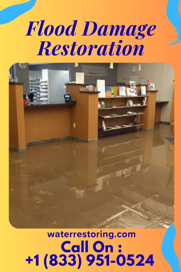 Flood Damage Restoration in Scalp Level, PA