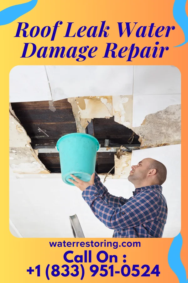Roof Leak Water Damage Repair in Scalp Level, PA