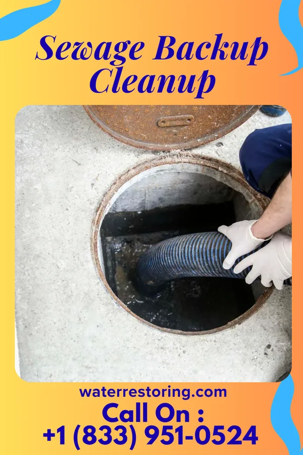 Sewage Backup Cleanup in Scalp Level, PA
