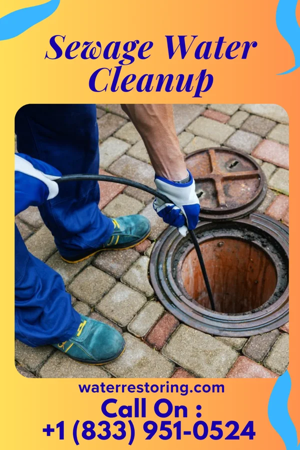 Sewage Water Cleanup in Scalp Level, PA