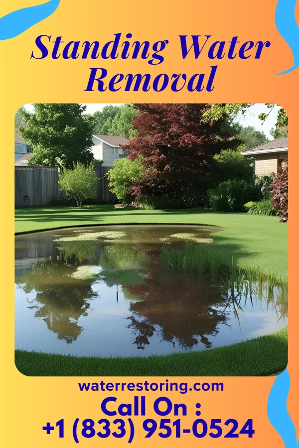 Standing Water Removal in Scalp Level, PA
